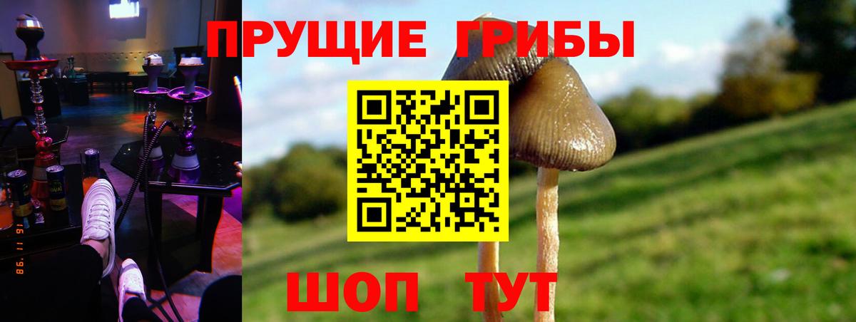 Галлюциногенные грибы мухоморы Саянск