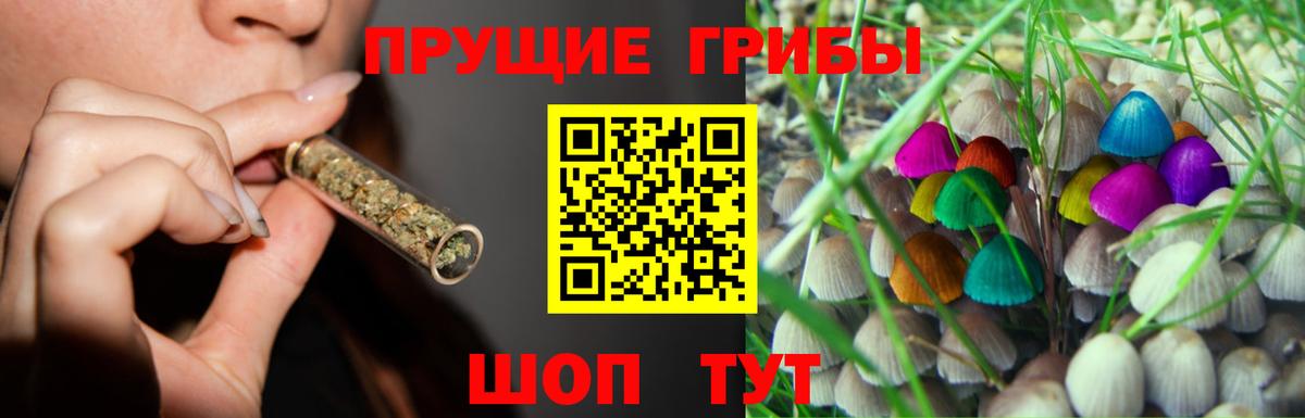 Саянск  Галлюциногенные грибы GOLDEN TEACHER  Вход с VPN  Галлюциногенные грибы мицелий 